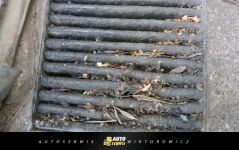 Auto Serwis Wiktorowicz - Elbląg