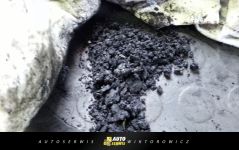 Auto Serwis Wiktorowicz - Elbląg