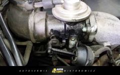 Auto Serwis Wiktorowicz - Elbląg