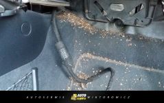 Auto Serwis Wiktorowicz - Elbląg